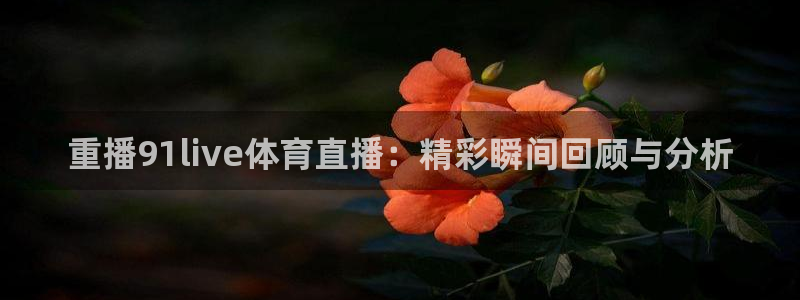 新闻图片