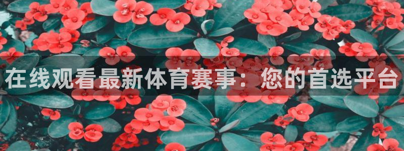 新闻图片
