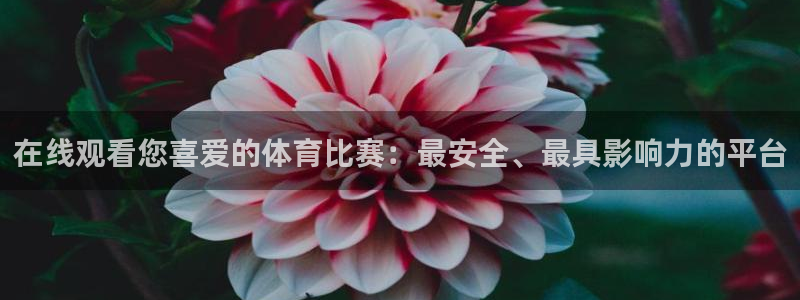 在线观看您喜爱的体育比赛：最安全、最具影响力的平台
