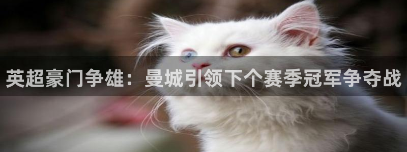 英超豪门争雄：曼城引领下个赛季冠军争夺战