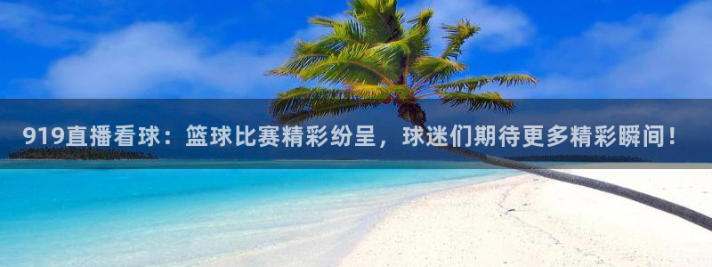 919直播看球：篮球比赛精彩纷呈，球迷们期待更多精彩瞬间！