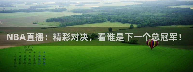 NBA直播：精彩对决，看谁是下一个总冠军！