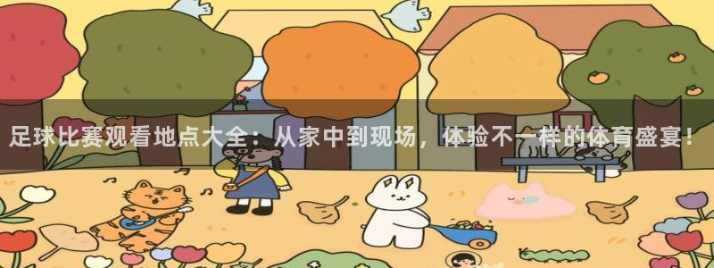 足球比赛观看地点大全：从家中到现场，体验不一样的体育盛宴！