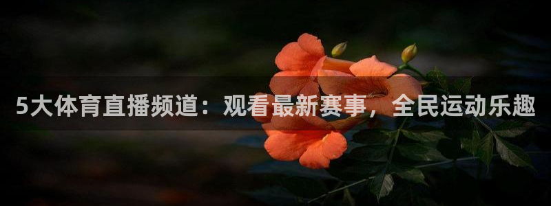 5大体育直播频道：观看最新赛事，全民运动乐趣