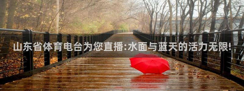 山东省体育电台为您直播:水面与蓝天的活力无限!