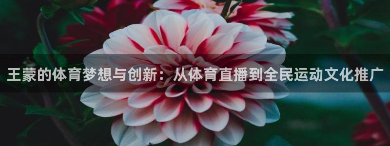 王蒙的体育梦想与创新：从体育直播到全民运动文化推广