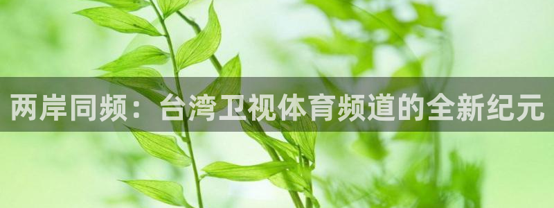 两岸同频：台湾卫视体育频道的全新纪元