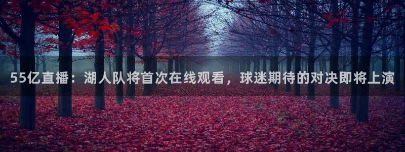 55亿直播：湖人队将首次在线观看，球迷期待的对决即将上演