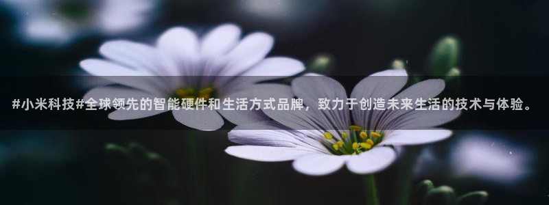 #小米科技#全球领先的智能硬件和生活方式品牌，致力于创造未来生活的技术与体验。