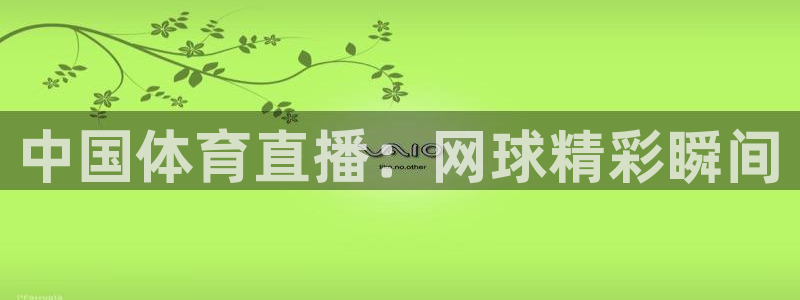 中国体育直播：网球精彩瞬间