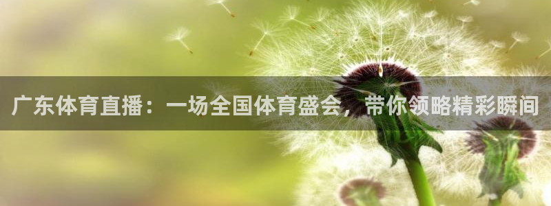 广东体育直播：一场全国体育盛会，带你领略精彩瞬间