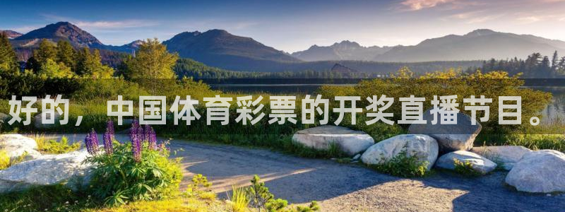 好的，中国体育彩票的开奖直播节目。