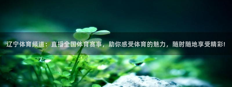 辽宁体育频道：直播全国体育赛事，助你感受体育的魅力，随时随地享受精彩!