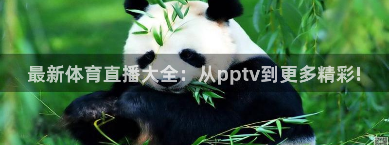 最新体育直播大全：从pptv到更多精彩!