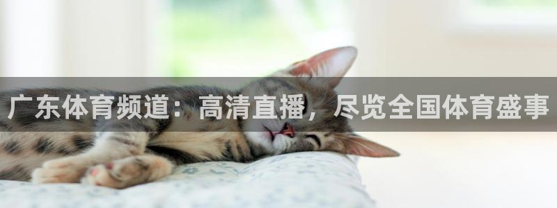 广东体育频道：高清直播，尽览全国体育盛事