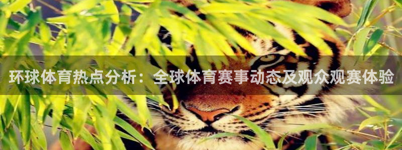 环球体育热点分析：全球体育赛事动态及观众观赛体验