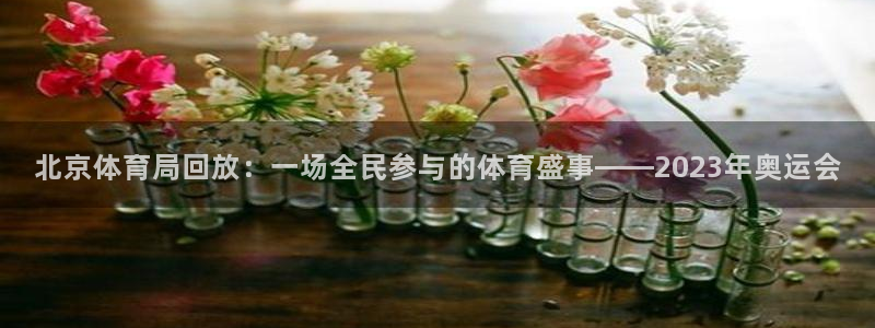 北京体育局回放：一场全民参与的体育盛事——2023年奥运会