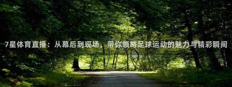 7星体育直播：从幕后到现场，带你领略足球运动的魅力与精彩瞬间