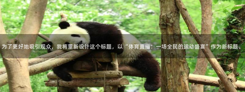 为了更好地吸引观众，我将重新设计这个标题，以“体育直播：一场全民的运动盛宴”作为新标题。