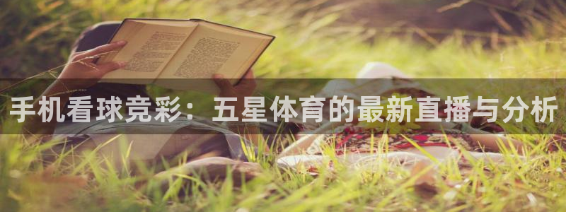 手机看球竞彩：五星体育的最新直播与分析
