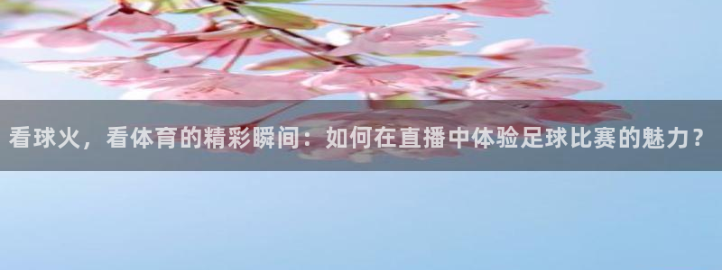 看球火，看体育的精彩瞬间：如何在直播中体验足球比赛的魅力？