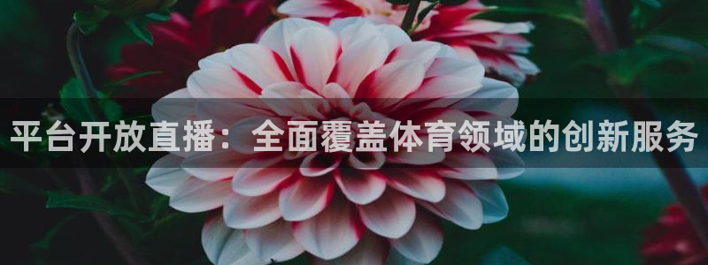 平台开放直播：全面覆盖体育领域的创新服务