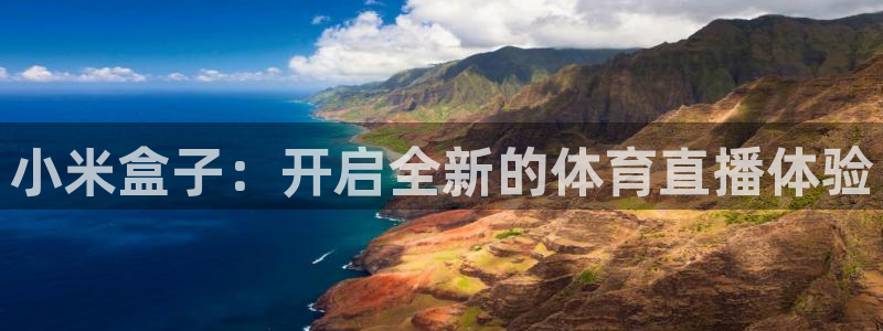 小米盒子：开启全新的体育直播体验