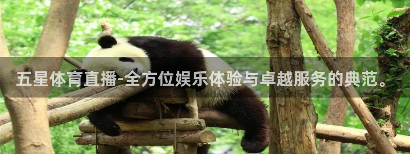 五星体育直播-全方位娱乐体验与卓越服务的典范。