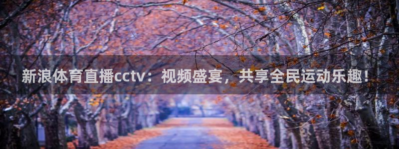新浪体育直播cctv：视频盛宴，共享全民运动乐趣！