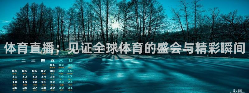 体育直播：见证全球体育的盛会与精彩瞬间