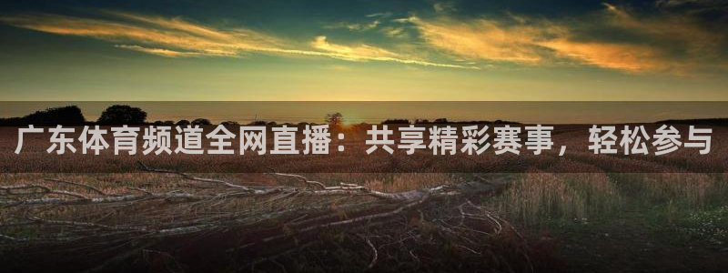 广东体育频道全网直播：共享精彩赛事，轻松参与