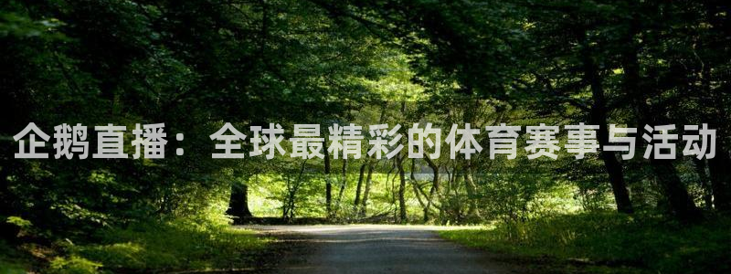 企鹅直播：全球最精彩的体育赛事与活动