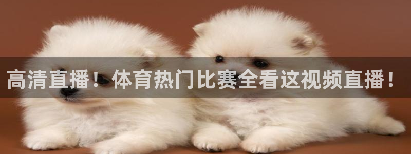 高清直播！体育热门比赛全看这视频直播！