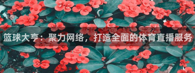 篮球大亨：聚力网络，打造全面的体育直播服务